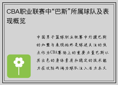CBA职业联赛中“巴斯”所属球队及表现概览