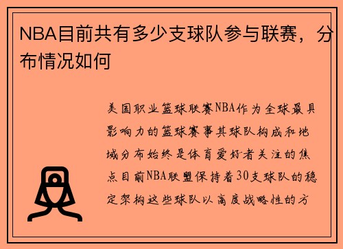 NBA目前共有多少支球队参与联赛，分布情况如何